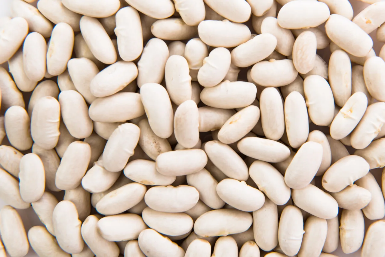 Soya Beans